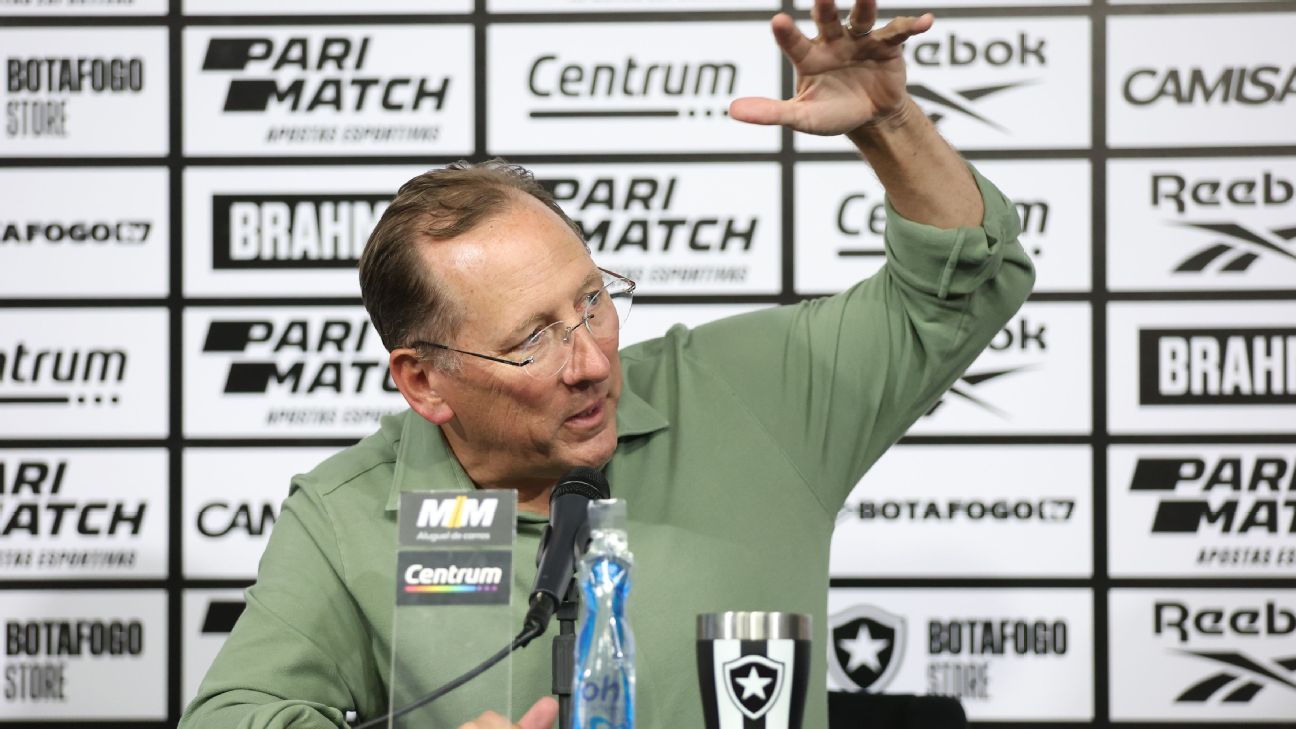 Textor projeta futuro de dupla do Botafogo na Premier League