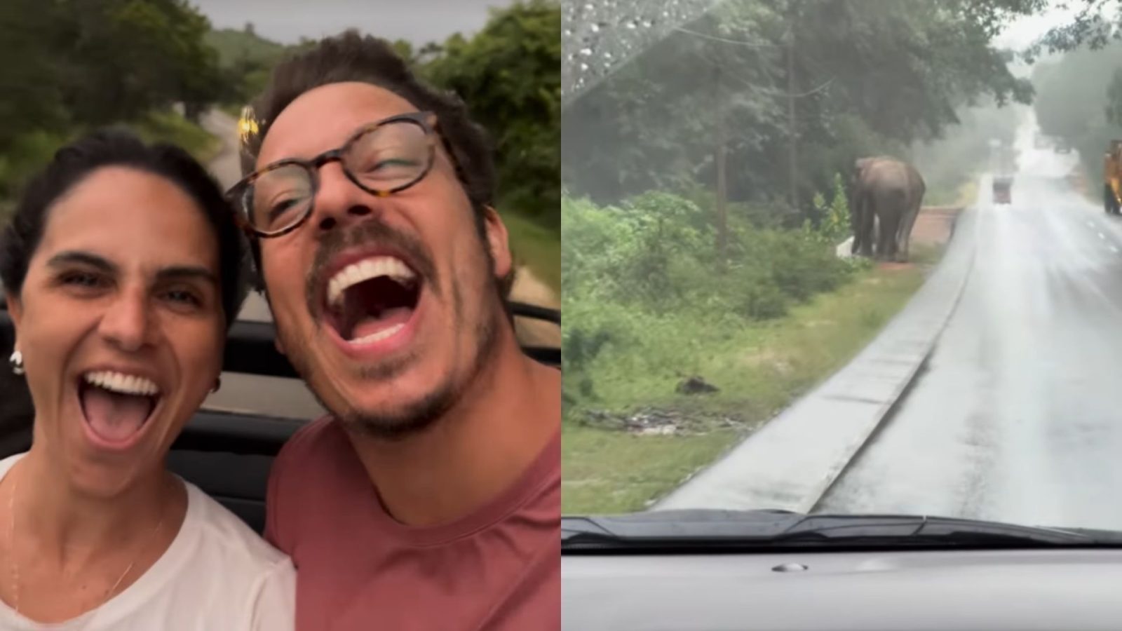 Fábio Porchat se surpreende com elefante atravessando a rua no Sri Lanka