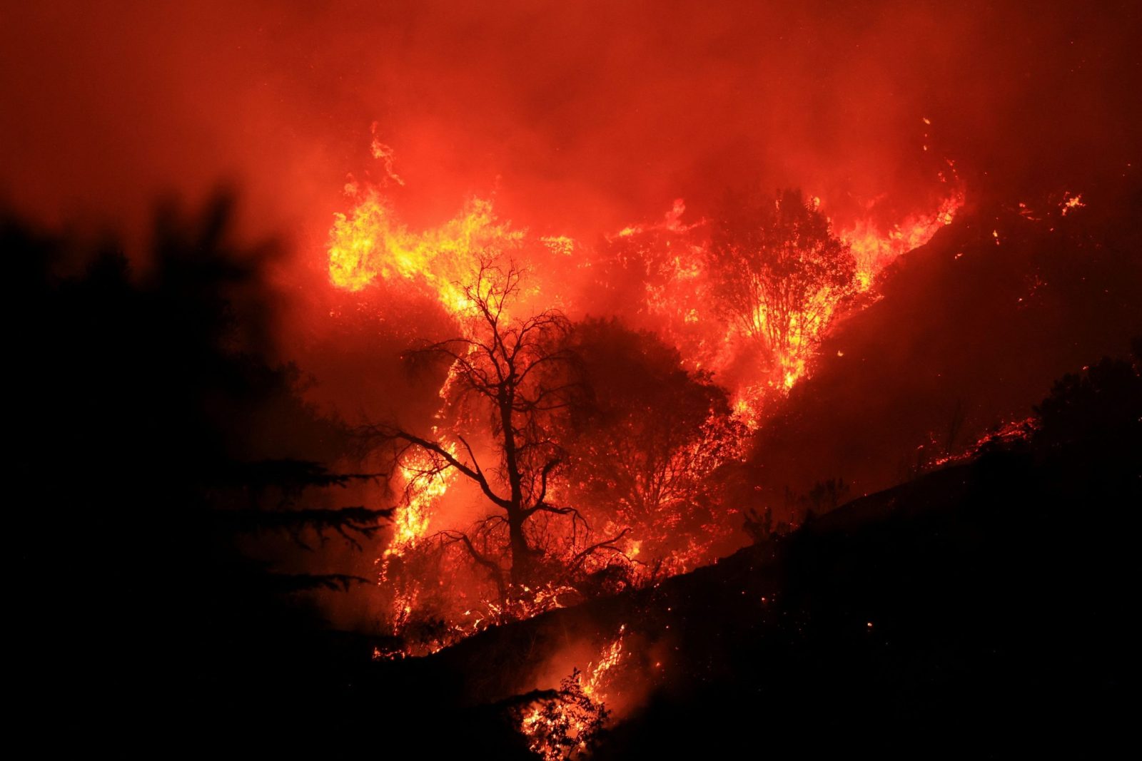 Seca e mudanças climáticas agravam condições para incêndios florestais nos EUA