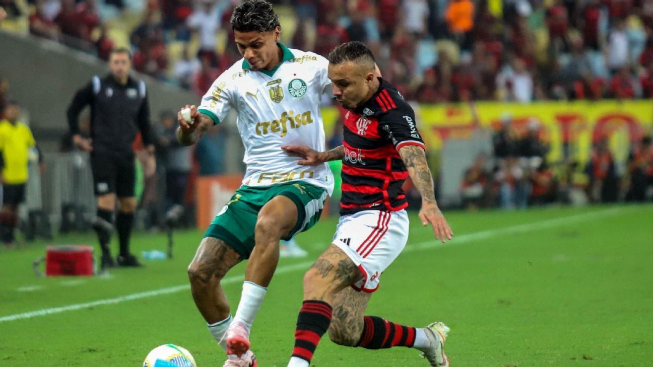 Flamengo e Palmeiras seriam campeões em Portugal? Boto responde