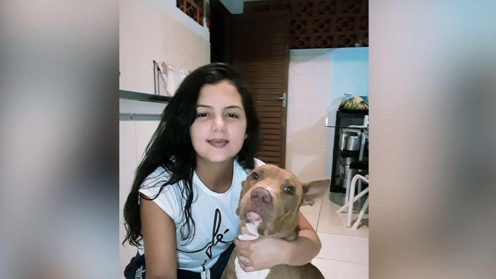 Pit bull ataca e mata tutora dentro de casa em cidade do entorno do DF