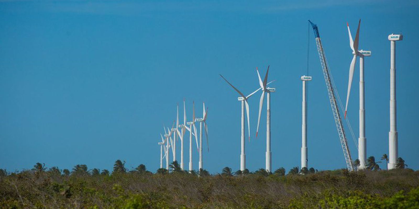 BB assina acordo de US$ 700 milhões para exportações e energia limpa