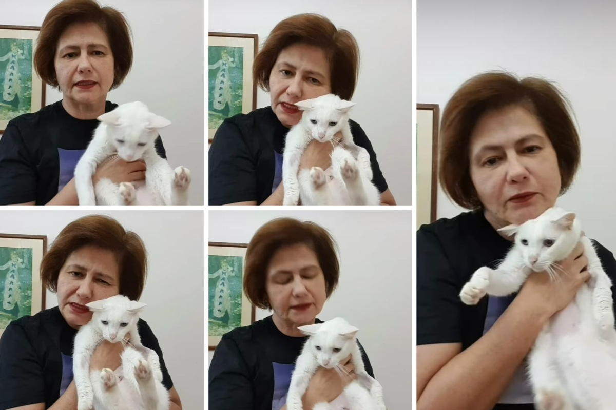 Narjara Tureta faz rifa e pede ajuda financeira para salvar gato