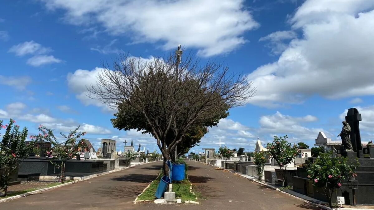 Confira os falecimentos deste sábado (05) em Apucarana