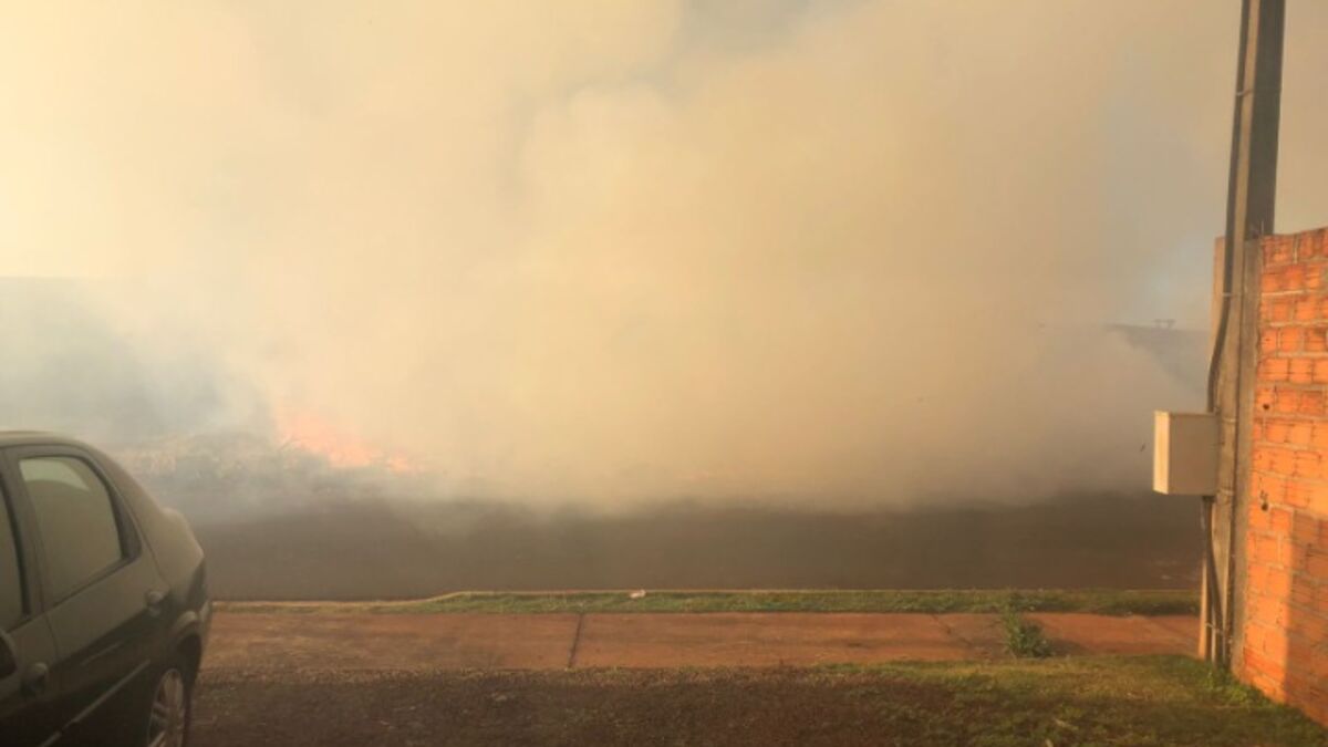 Incêndio atinge área com hortas e assusta moradores no Solo Sagrado