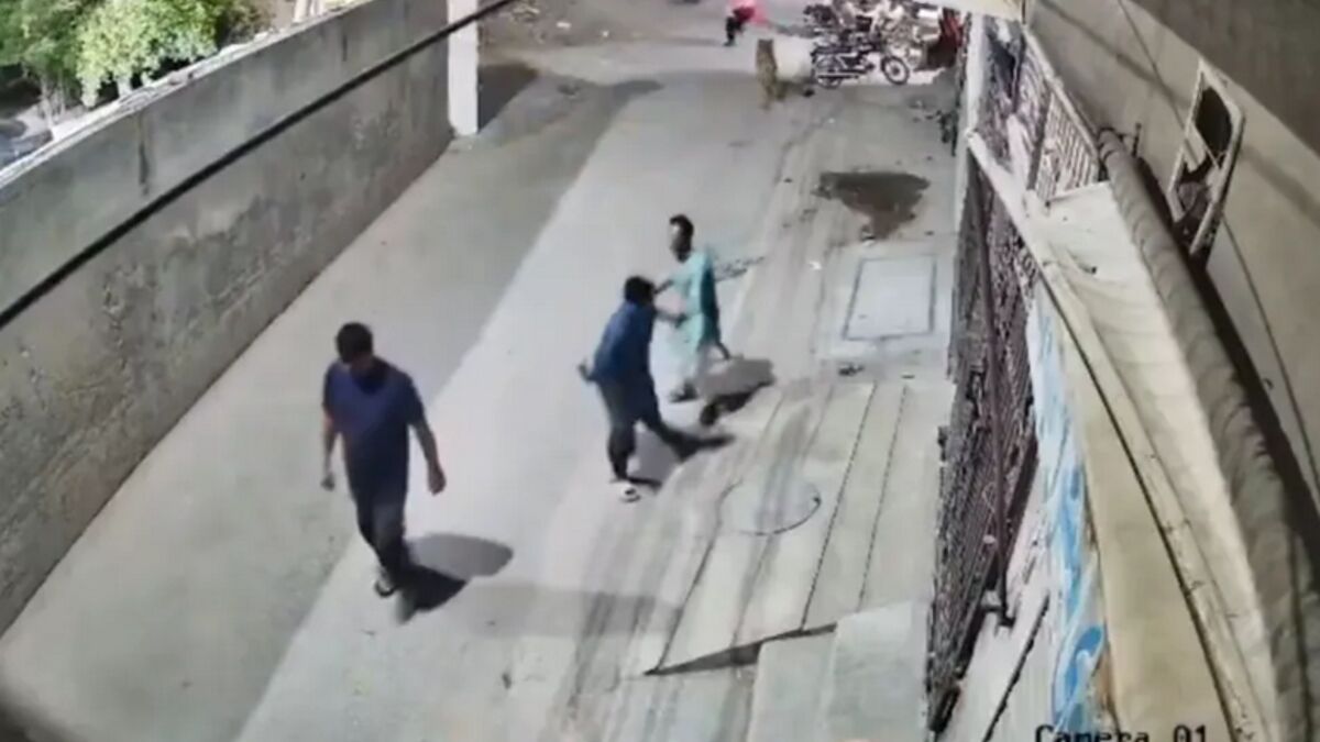 Leão salta muro e ataca mulher e crianças no Paquistão