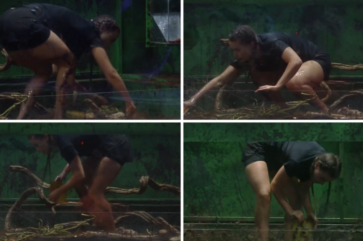 Rayanne Morais foi picada por cobra no Power Couple? Saiba!