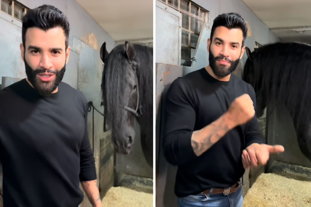 Gusttavo Lima vende metade de cavalo por R$5 milhões. Entenda!