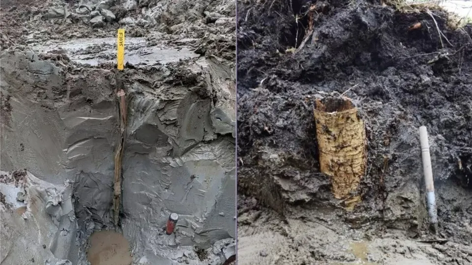 ‘Cápsula do tempo pré-histórica’: tesouro de 5 mil anos é achado em pântano