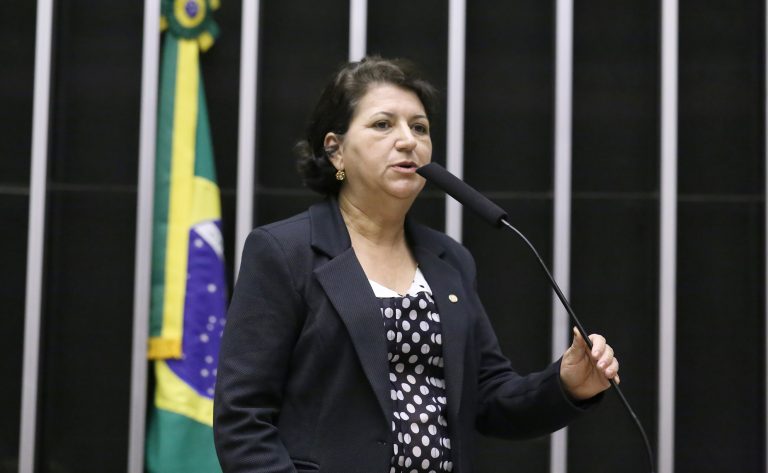 Câmara aprova programa para reduzir mortalidade materna; acompanhe – Notícias