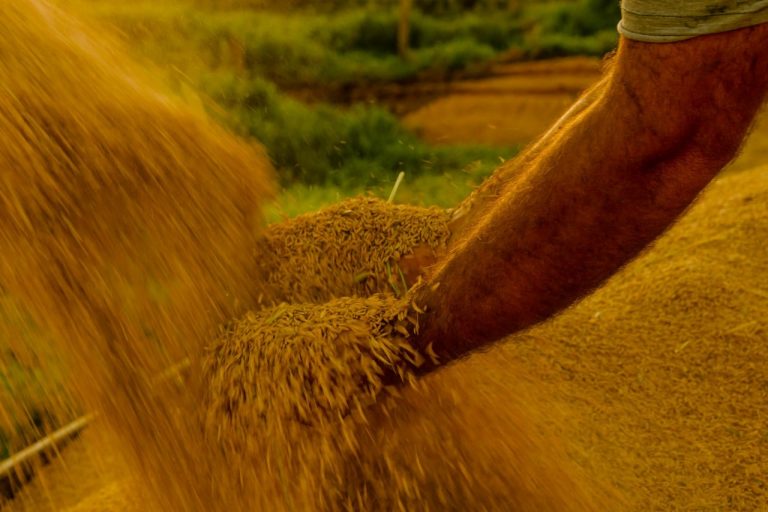 Comissão debate vistos de trabalho para estrangeiros em atividades sazonais – Notícias