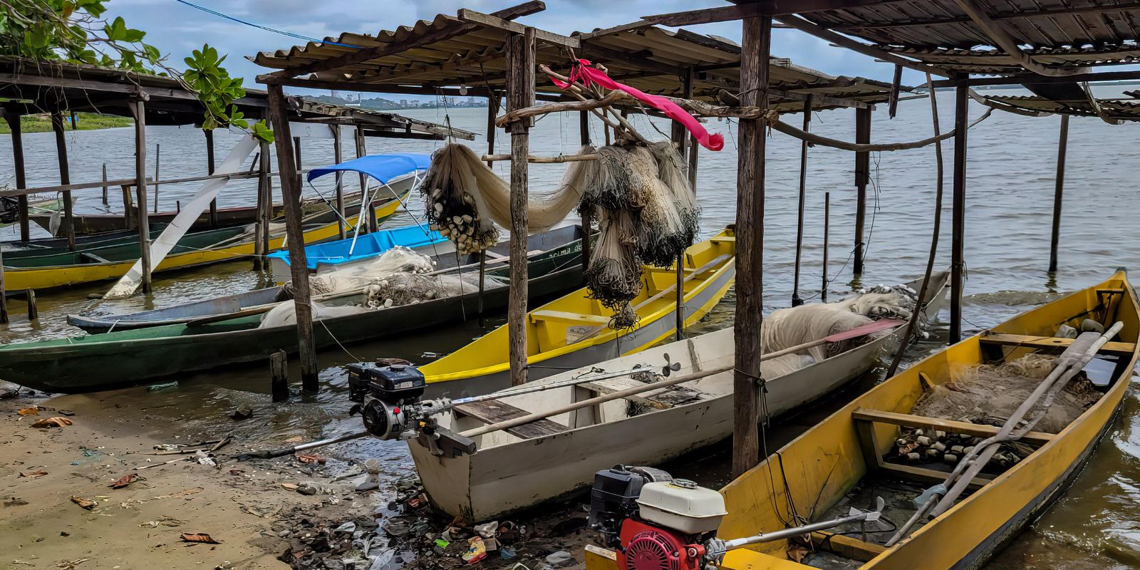 Início do defeso da piracema restringe pesca comercial no país