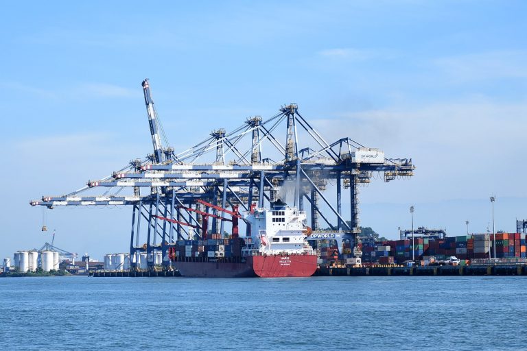 Comissão debate impactos do leilão de terminal de contêineres em Santos sobre o agronegócio – Notícias
