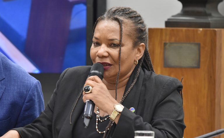 Ministra destaca importância da participação popular na elaboração do novo Plano Nacional de Cultura – Notícias
