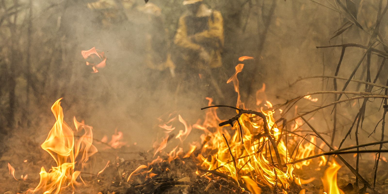 Pantanal é o bioma mais atingido pelo aumento da temperatura no país