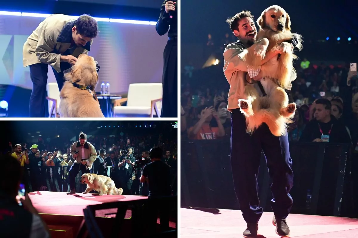 CCXP25: Nicolas Prattes protagoniza cena com cão