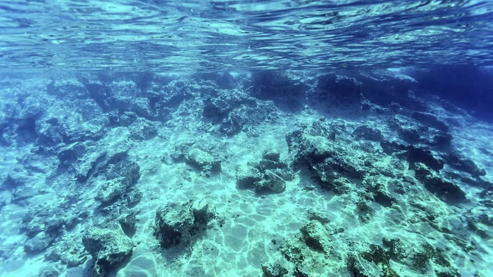 El Niño afeta ecossistema marinho no Oceano Atlântico, diz estudo