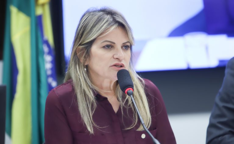 Orçamento 2026: relatora setorial pede recomposição de recursos para a área de Poderes de Estado – Notícias
