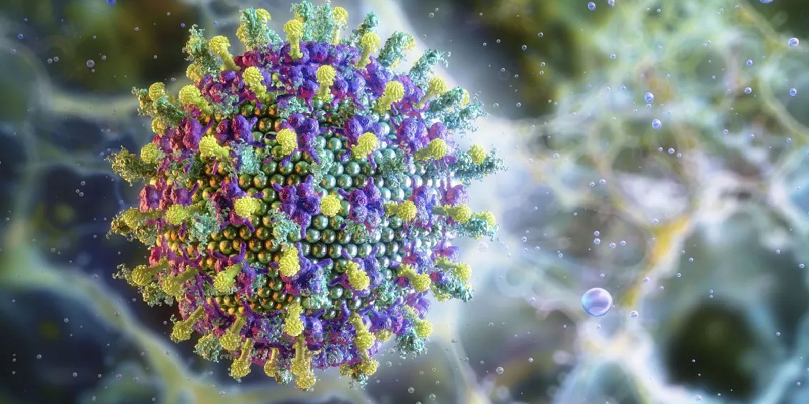 Nipah: saiba mais sobre o vírus que preocupa a Ásia