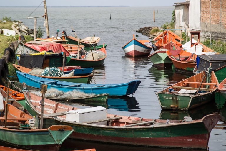 Comissão mista que analisa mudanças no seguro-defeso ouvirá representantes dos pescadores; participe – Notícias