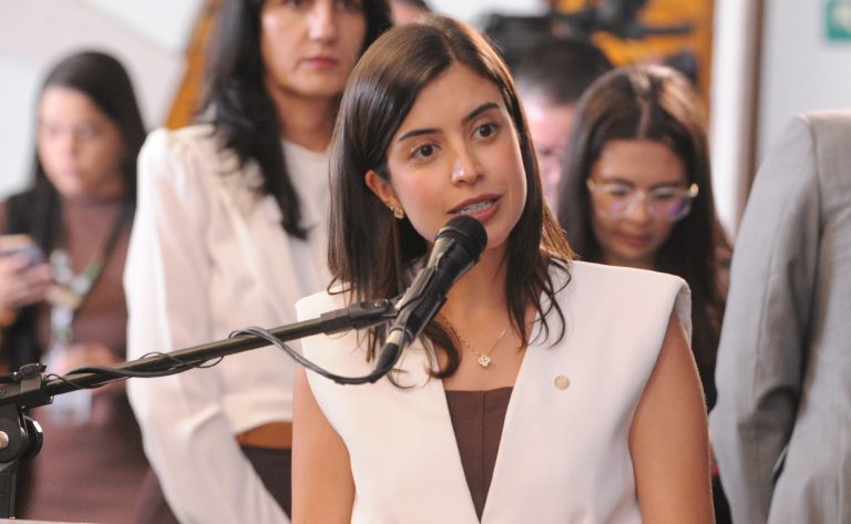 Comissão aprova Anna Nery como patrona da enfermagem no Brasil – Notícias