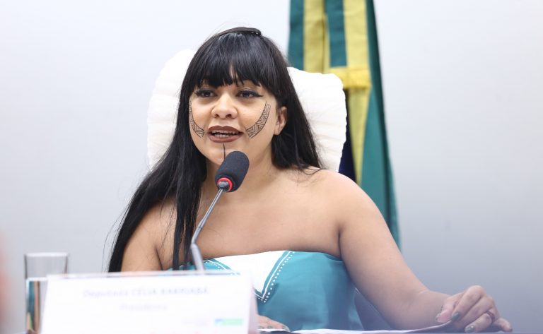 Comissão aprova suspensão de norma sobre identificação de indígenas na navegação de interior – Notícias