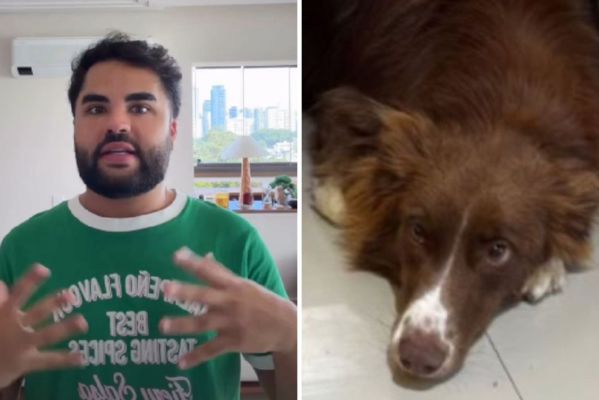 Lucas Guedez reage a acusação sobre cadela e expõe bastidores