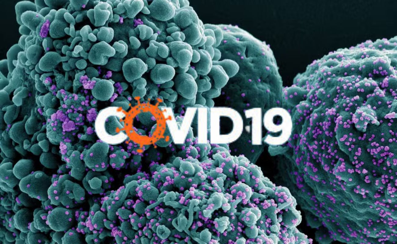 Nova variante BA.3.2 da Covid-19 com forte escape imunológico é detectada em 23 países