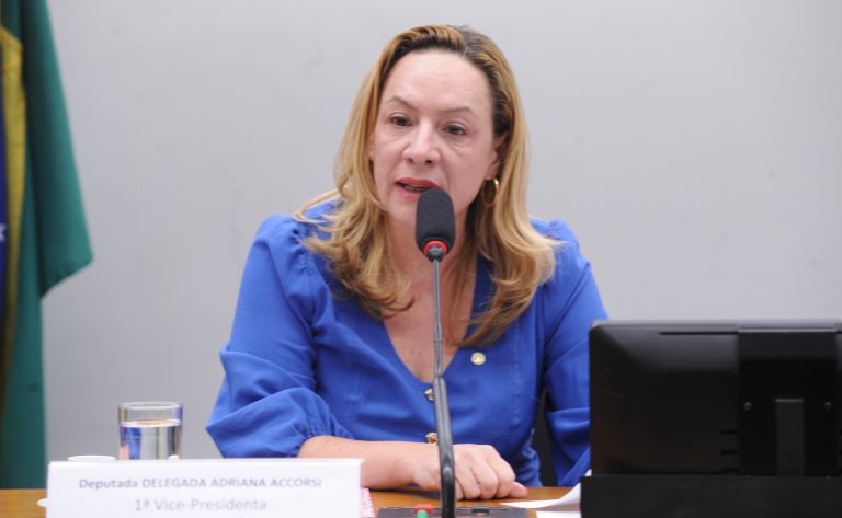 Comissão aprova projeto que permite o afastamento imediato de agressores de crianças – Notícias