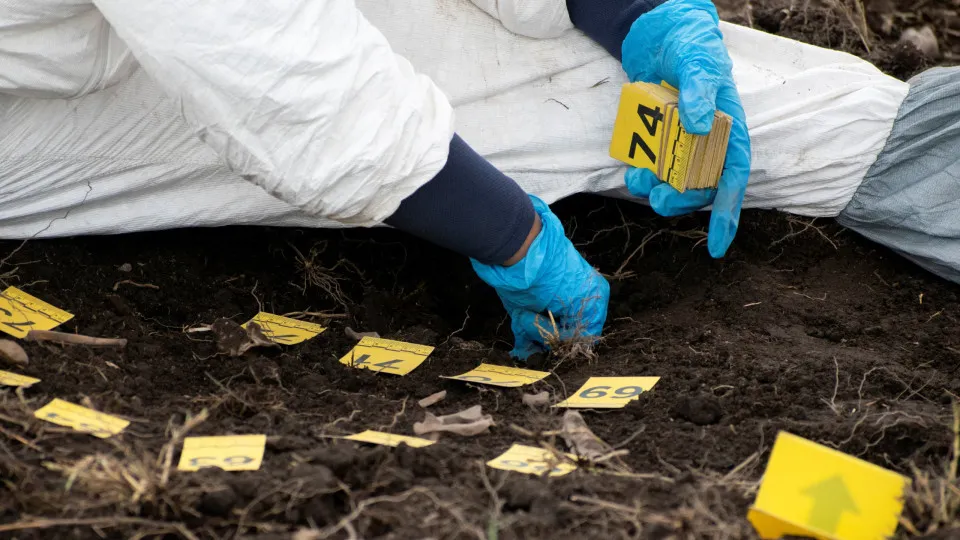 Encontrados mil fragmentos de ossos na Cidade do México: “Devastador”