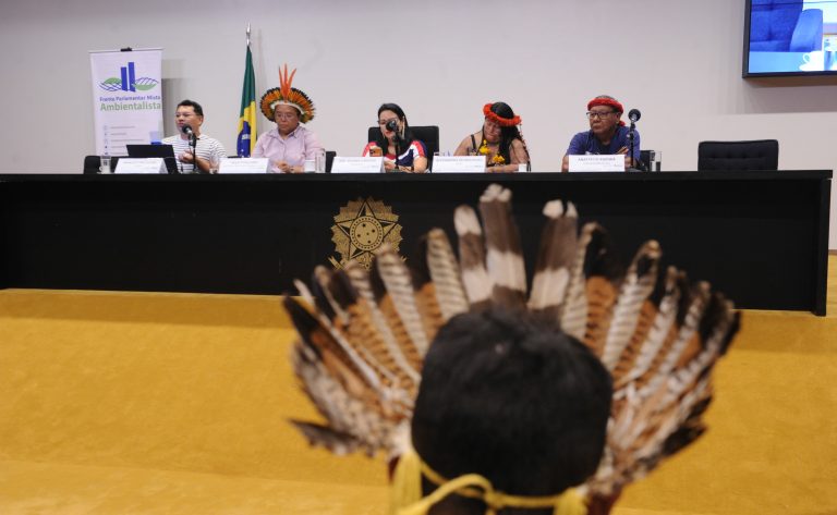 Lideranças defendem indígenas em espaços de decisão e proteção de territórios em seminário na Câmara – Notícias