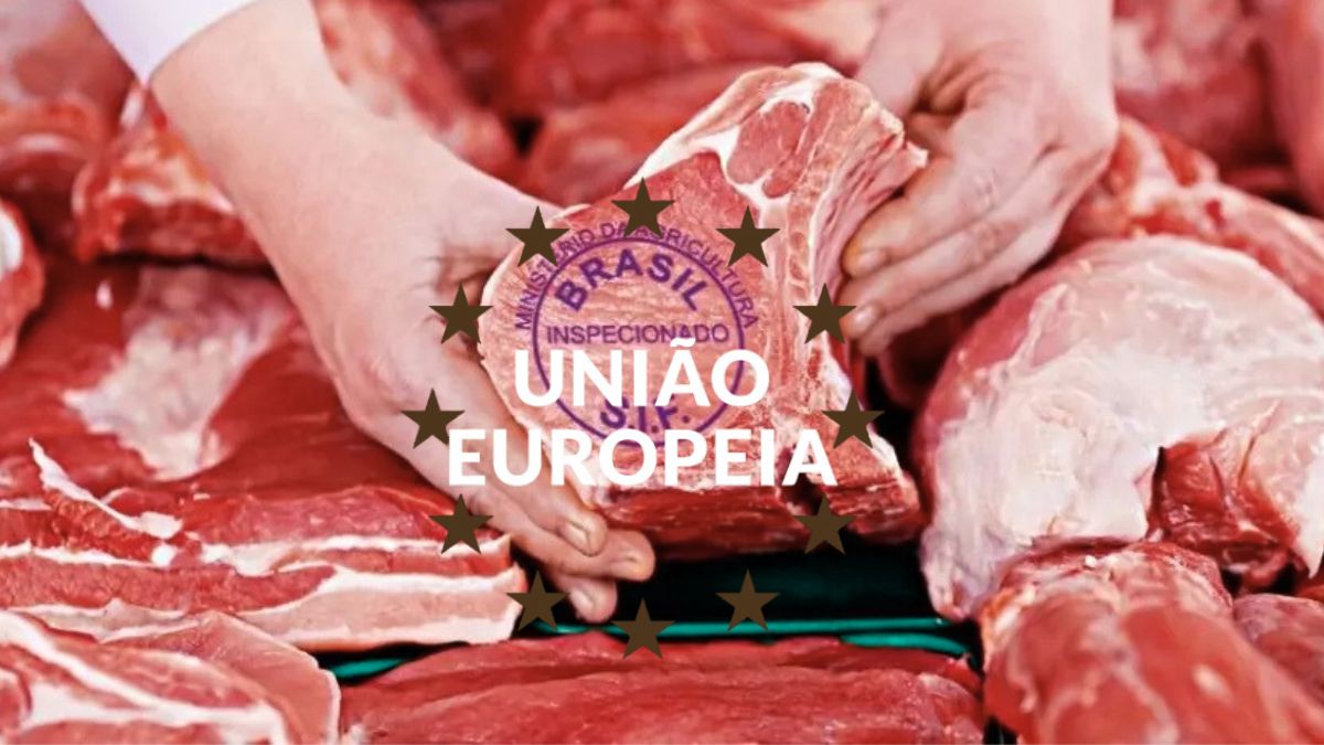 Decisão da UE preocupa pecuaristas: Brasil fora da lista de exportadores de carnes