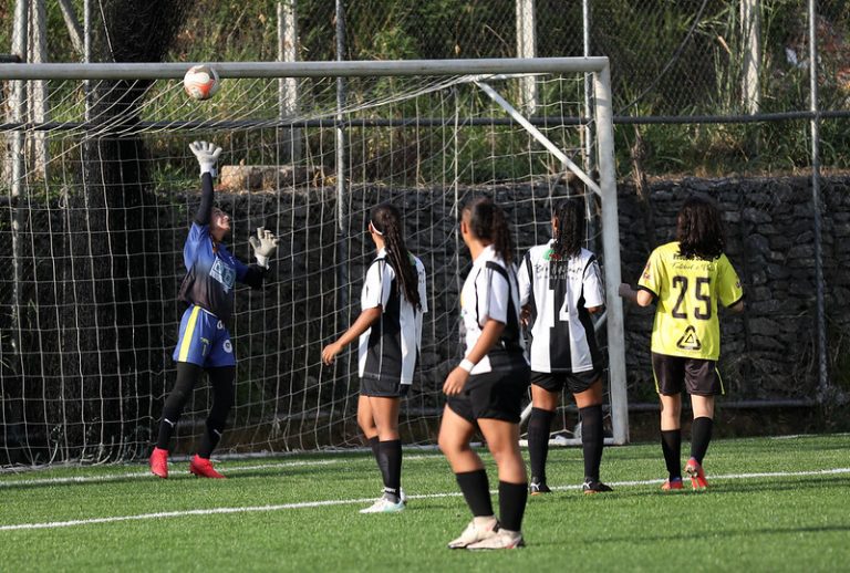 Projeto busca assegurar recursos para a Copa do Mundo feminina de 2027 – Notícias