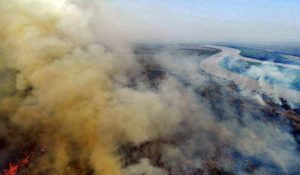Medida provisória destina recursos para prevenção de incêndios florestais – Notícias