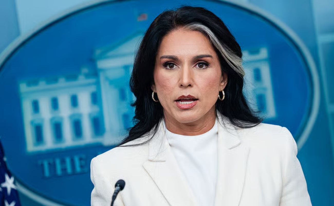 Tulsi Gabbard acusa Fauci de financiar pesquisa de ganho de função em Wuhan e mentir ao Congresso