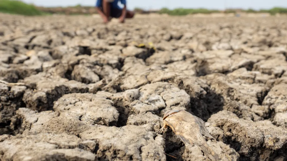 Chance de El Niño muito forte no final do ano sobe para 81%, diz agência americana